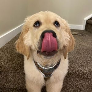 Meet your Posher, Mandee